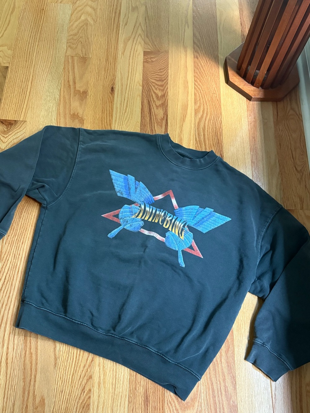 Anine Bing butterfly sweatshirt